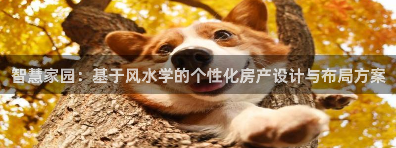先锋娱乐电话：智慧家园：基于风水学的个性化房产设计与布局方案