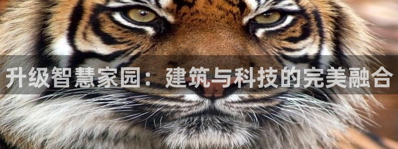 亚洲先锋娱乐招股：升级智慧家园：建筑与科技的完美融合