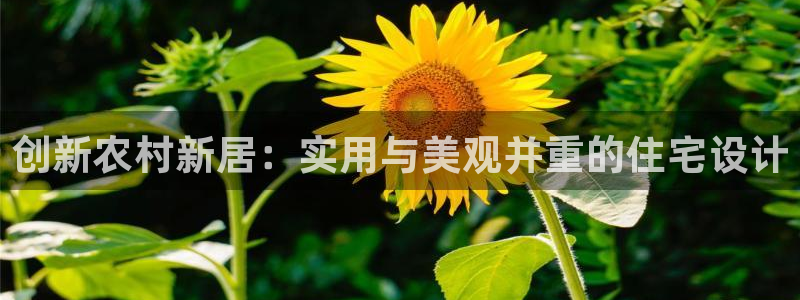 先锋娱乐平台：创新农村新居：实用与美观并重的住宅设计