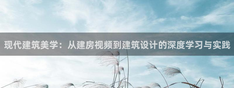 先锋娱乐软件：现代建筑美学：从建房视频到建筑设计的深度学习与实践