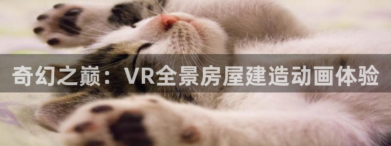 先锋娱乐传媒：奇幻之巅：VR全景房屋建造动画体验