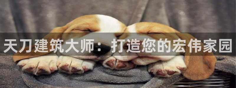 先锋娱乐热点：天刀建筑大师：打造您的宏伟家园