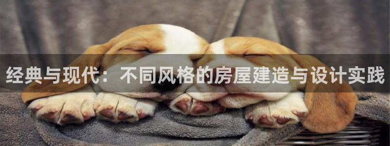 先锋娱乐官方：经典与现代：不同风格的房屋建造与设计实践