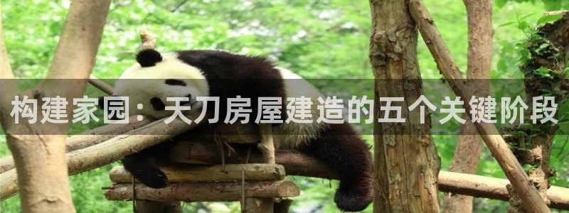 先锋娱乐赛：构建家园：天刀房屋建造的五个关键阶段