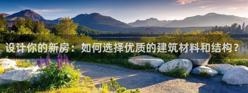 先锋娱乐电子游戏：设计你的新房：如何选择优质的建筑材料和结构？