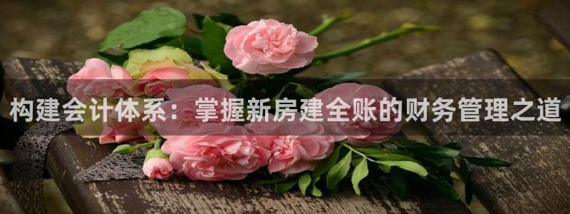 先锋娱乐场所：构建会计体系：掌握新房建全账的财务管理之道