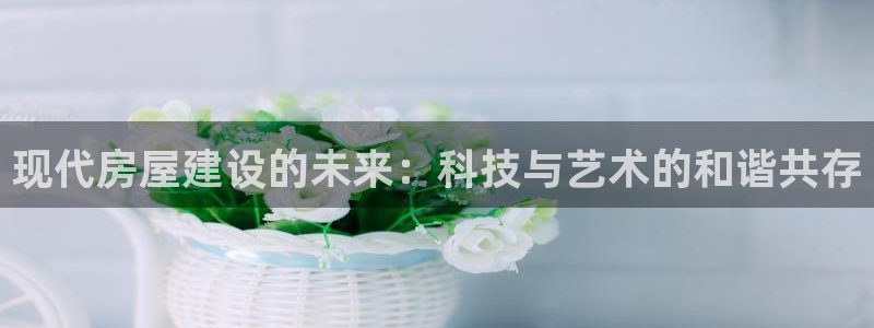 先锋娱乐科技：现代房屋建设的未来：科技与艺术的和谐共存