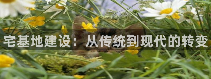 先锋娱乐棋牌有挂吗：宅基地建设：从传统到现代的转变