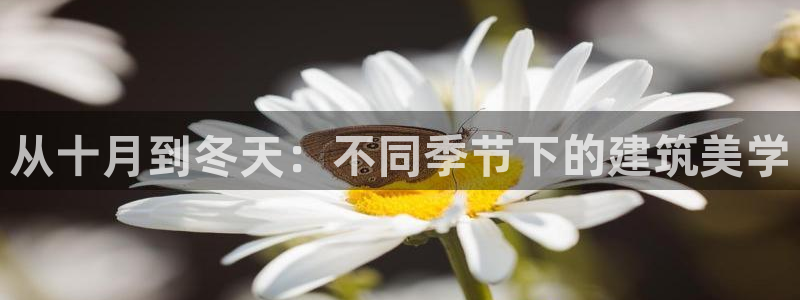 先锋娱乐是不是骗子：从十月到冬天：不同季节下的建筑美学