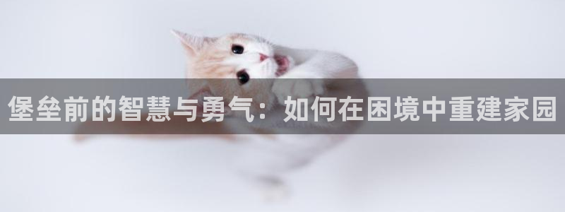 先锋娱乐网67xf：堡垒前的智慧与勇气：如何在困境中重建家园