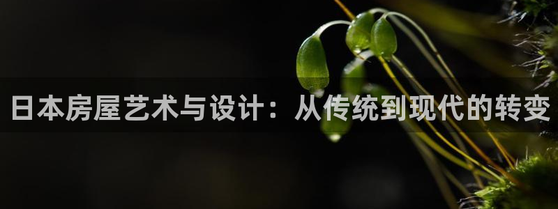 先锋娱乐集团公司：日本房屋艺术与设计：从传统到现代的转变