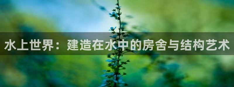 先锋娱乐公司正规吗吗：水上世界：建造在水中的房舍与结构艺术