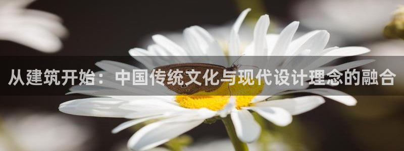 先锋娱乐账号注册不了：从建筑开始：中国传统文化与现代设计理念的融合