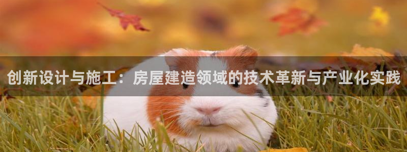 先锋银河娱乐