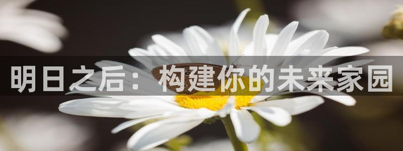 先锋娱乐邀请码多少位啊：明日之后：构建你的未来家园