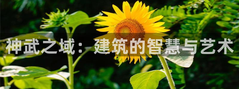 先锋娱乐官网：神武之域：建筑的智慧与艺术