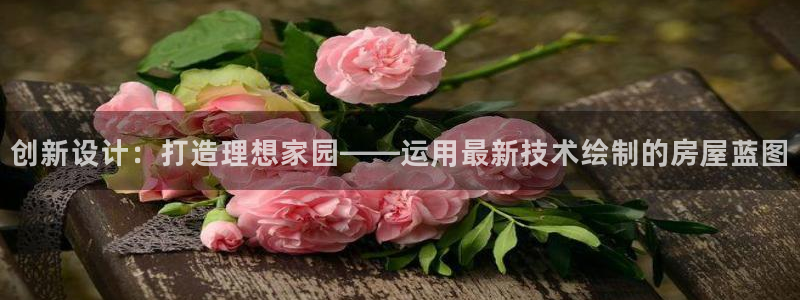 先锋娱乐赛：创新设计：打造理想家园——运用最新技术绘制的房屋蓝图