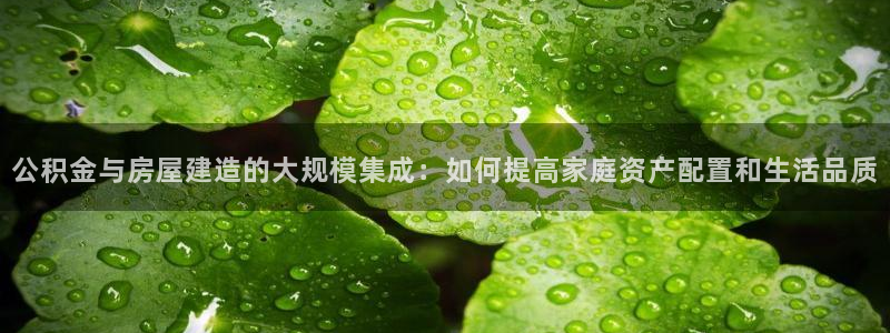 先锋娱乐游戏上分：公积金与房屋建造的大规模集成：如何提高家庭资产配置和生活品质