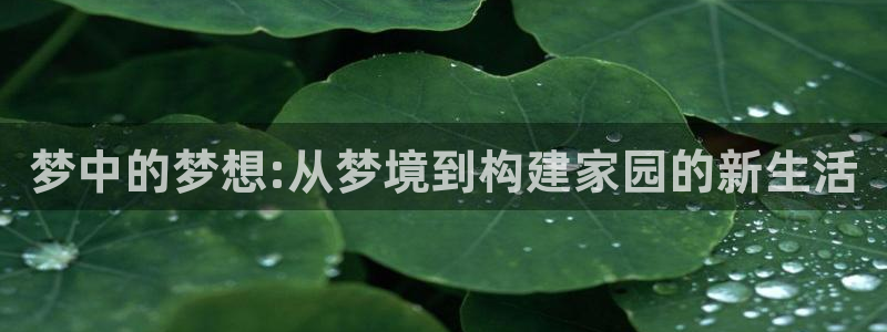 澳门先锋娱乐：梦中的梦想:从梦境到构建家园的新生活