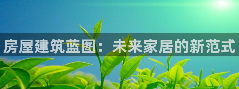 先锋娱乐炸金花：房屋建筑蓝图：未来家居的新范式