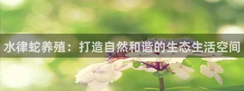 先锋娱乐俱乐部