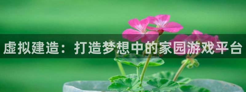 先锋娱乐场所