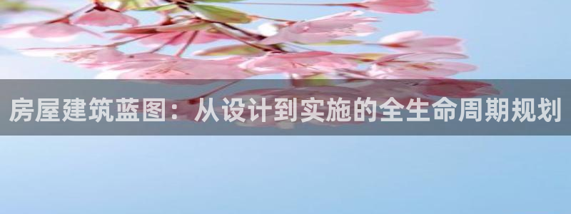 先锋电玩娱乐：房屋建筑蓝图：从设计到实施的全生命周期规划