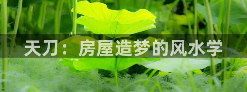 先锋娱乐俱乐部：天刀：房屋造梦的风水学