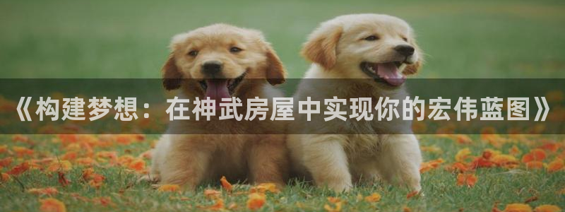 先锋娱乐大厅透视：《构建梦想：在神武房屋中实现你的宏伟蓝图》