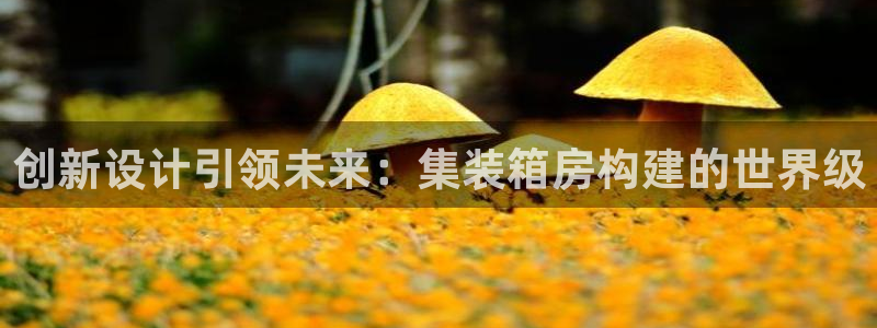 先锋电子旗下先锋娱乐