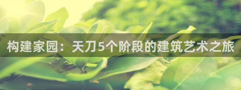 先锋娱乐软件：构建家园：天刀5个阶段的建筑艺术之旅