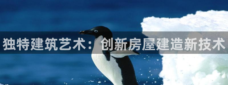 先锋娱乐大厅首页