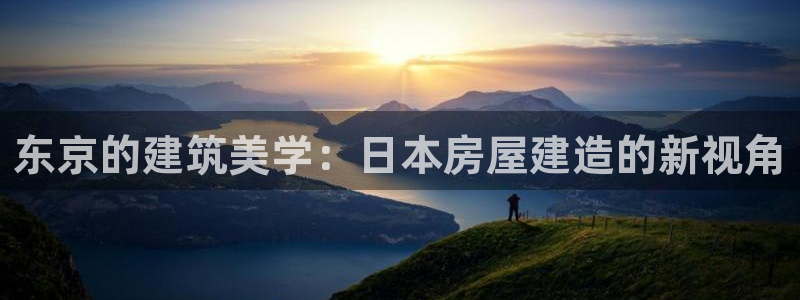 先锋娱乐汇：东京的建筑美学：日本房屋建造的新视角
