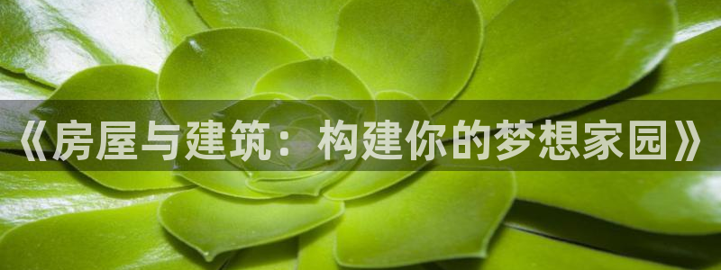 先锋娱乐麻将：《房屋与建筑：构建你的梦想家园》