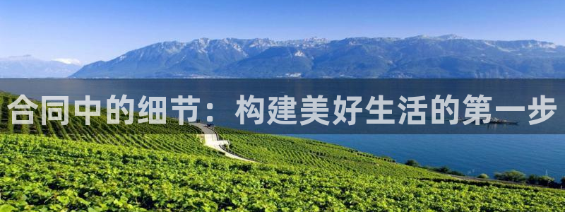 先锋娱乐情报：合同中的细节：构建美好生活的第一步