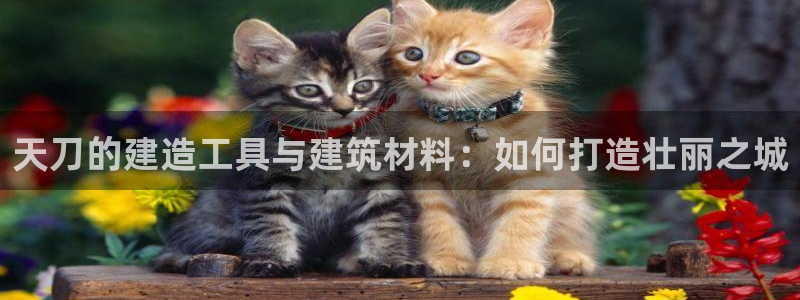 先锋游戏娱乐：天刀的建造工具与建筑材料：如何打造壮丽之城
