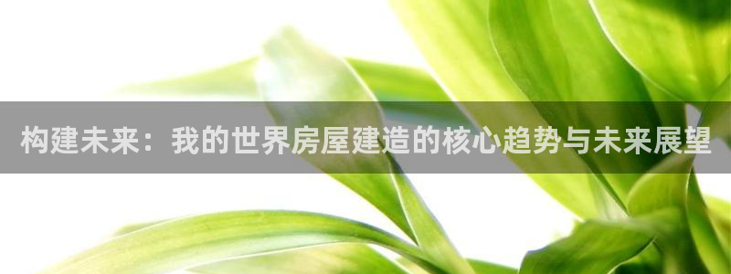 先锋娱乐平台：构建未来：我的世界房屋建造的核心趋势与未来展望