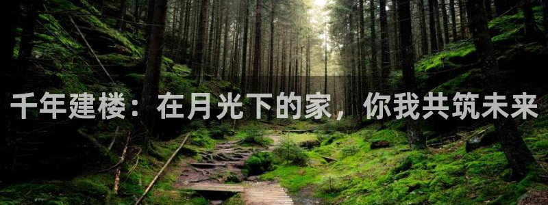 先锋娱乐剪辑：千年建楼：在月光下的家，你我共筑未来