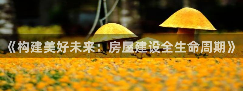 先锋娱乐赛：《构建美好未来：房屋建设全生命周期》
