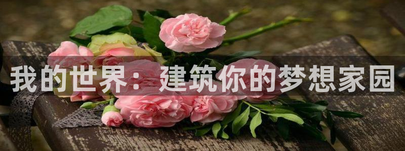 先锋国际娱乐：我的世界：建筑你的梦想家园