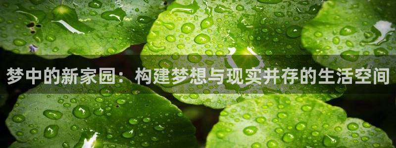 先锋娱乐俱乐部：梦中的新家园：构建梦想与现实并存的生活空间