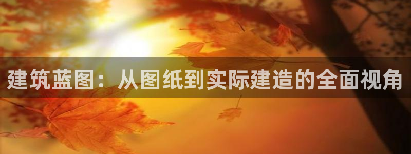 先锋娱乐注册：建筑蓝图：从图纸到实际建造的全面视角