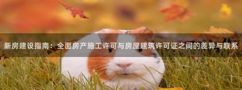 先锋支付娱乐城：新房建设指南：全面房产施工许可与房屋建筑许可证之间的差异与联系