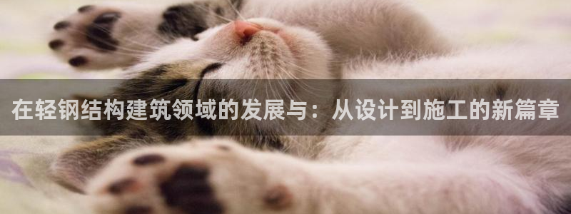 先锋娱乐游戏上分地址：在轻钢结构建筑领域的发展与：从设计到施工的新篇章