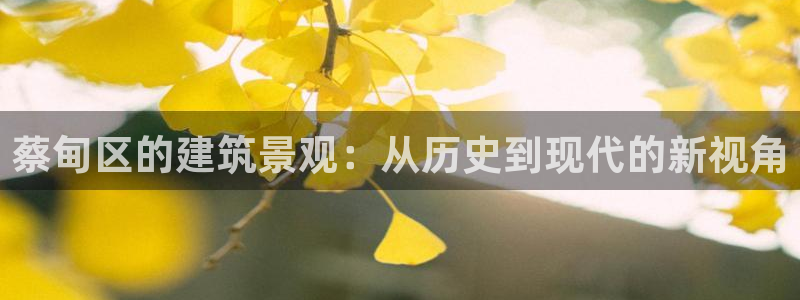 先锋娱乐电话：蔡甸区的建筑景观：从历史到现代的新视角
