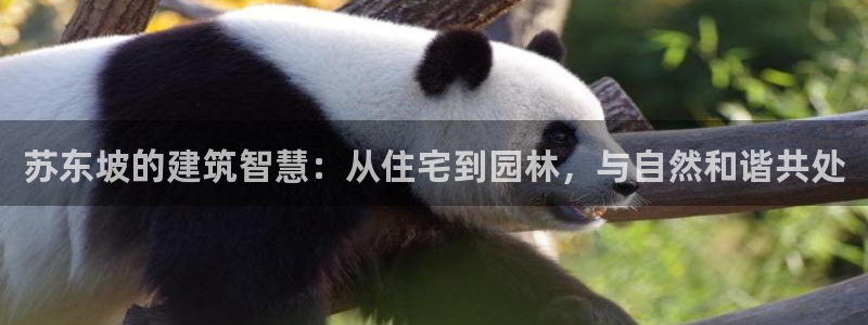 亚洲先锋娱乐行情：苏东坡的建筑智慧：从住宅到园林，与自然和谐共处